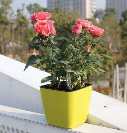 Self-watering Flower Pot – Plant Pot With Watering System For Indoor and Outdoor Use