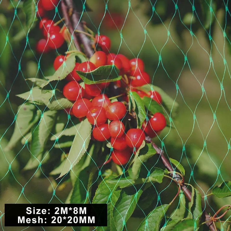Protective Net for Garden Plants – Green Net for Protection Against Pests and Animals
