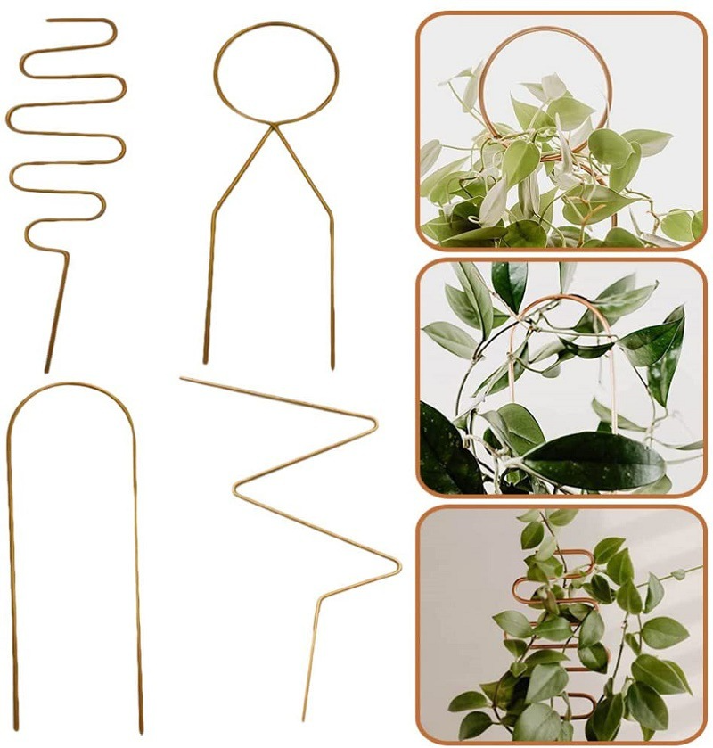 Metal Plant Support for Climbing Plants – Durable Supports in Various Shapes for Garden and Balcony