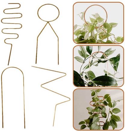 Metal Plant Support for Climbing Plants – Durable Supports in Various Shapes for Garden and Balcony