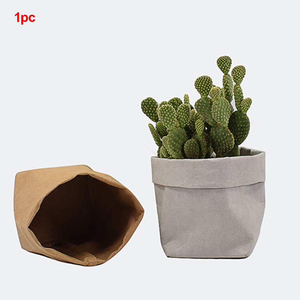 Stylish Paper Plant Pots – Modern Decorative Vases for Plants and Floral Arrangements