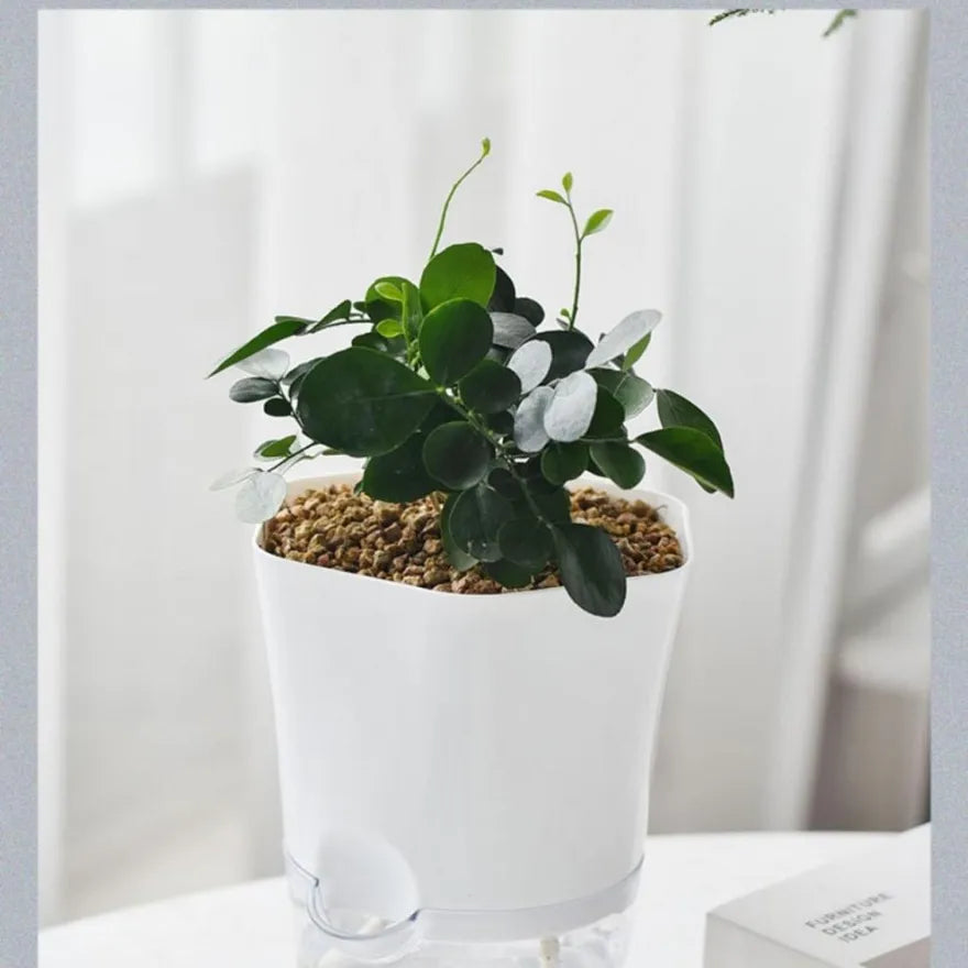 Self-Watering Plant Pot with Water Reservoir – Ideal for Indoor Plants and Easy Care