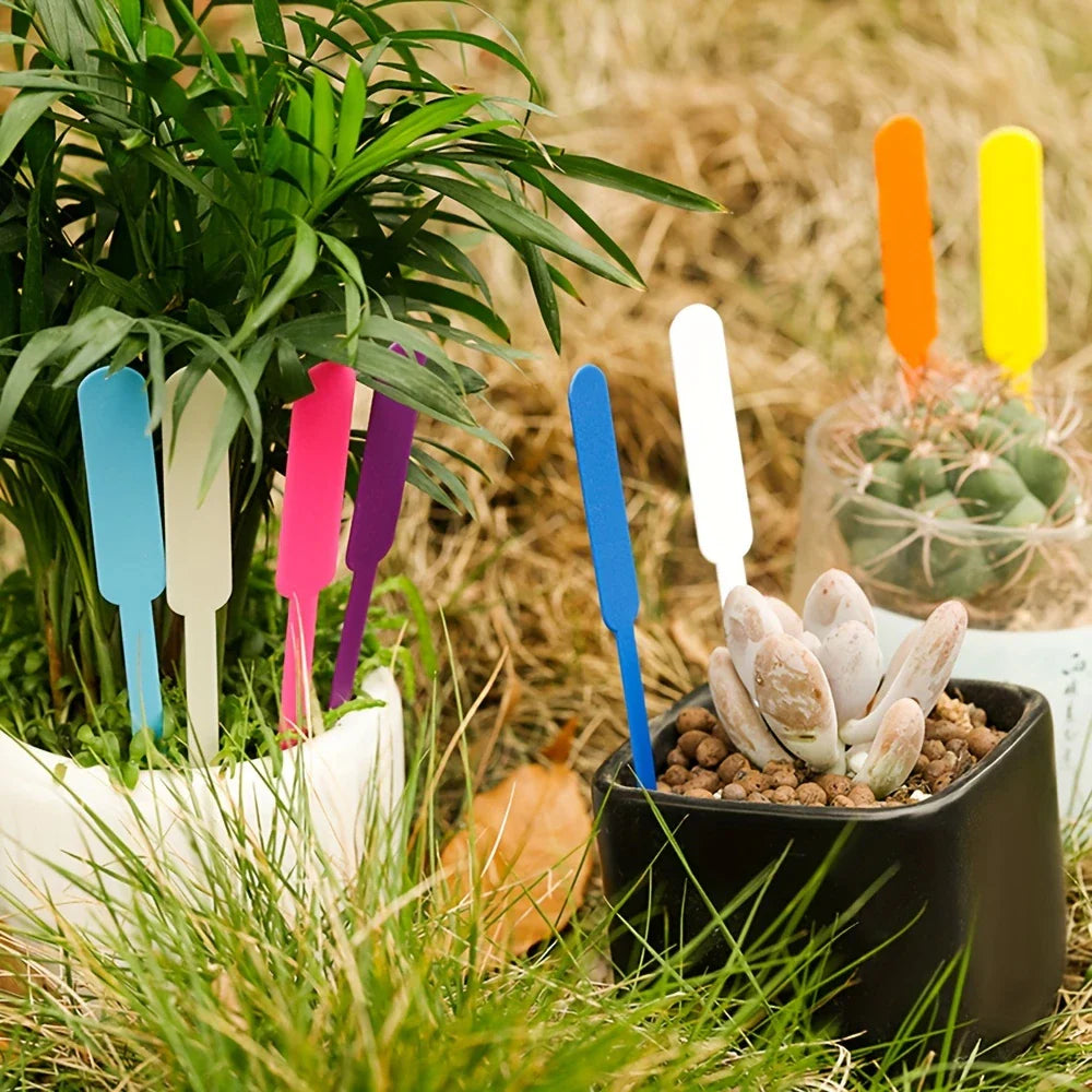 Weatherproof Colorful Plastic Plant Labels – Rewritable Markers for Garden Plants