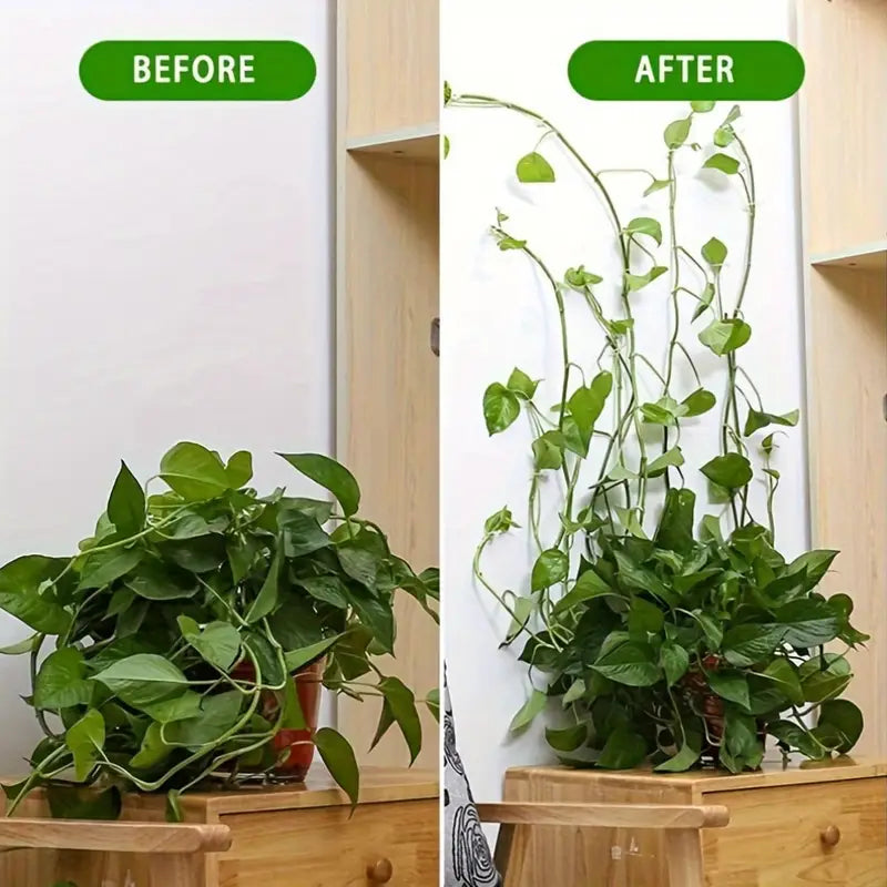 Practical Climbing Plant Wall Clips – Plant Holders for Wall Decoration and Vertical Gardening