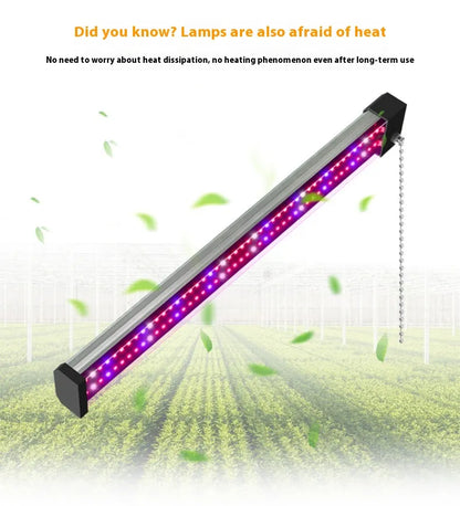 Full-Spectrum LED Plant Grow Light for Optimal Growth – With Pull Switch for Flexibility