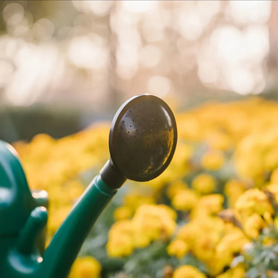 Large Watering Can with Long Spout – Precise Watering for Optimal Plant Care