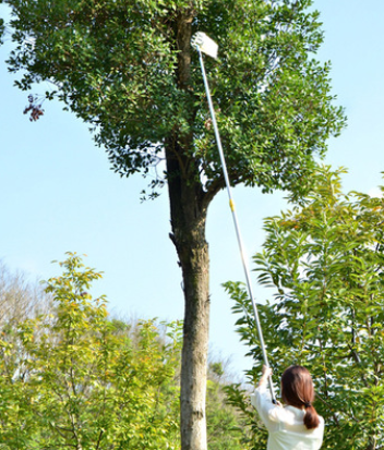 Fruit Picker for Harvesting – Practical Harvesting Tool for Trees and Shrubs
