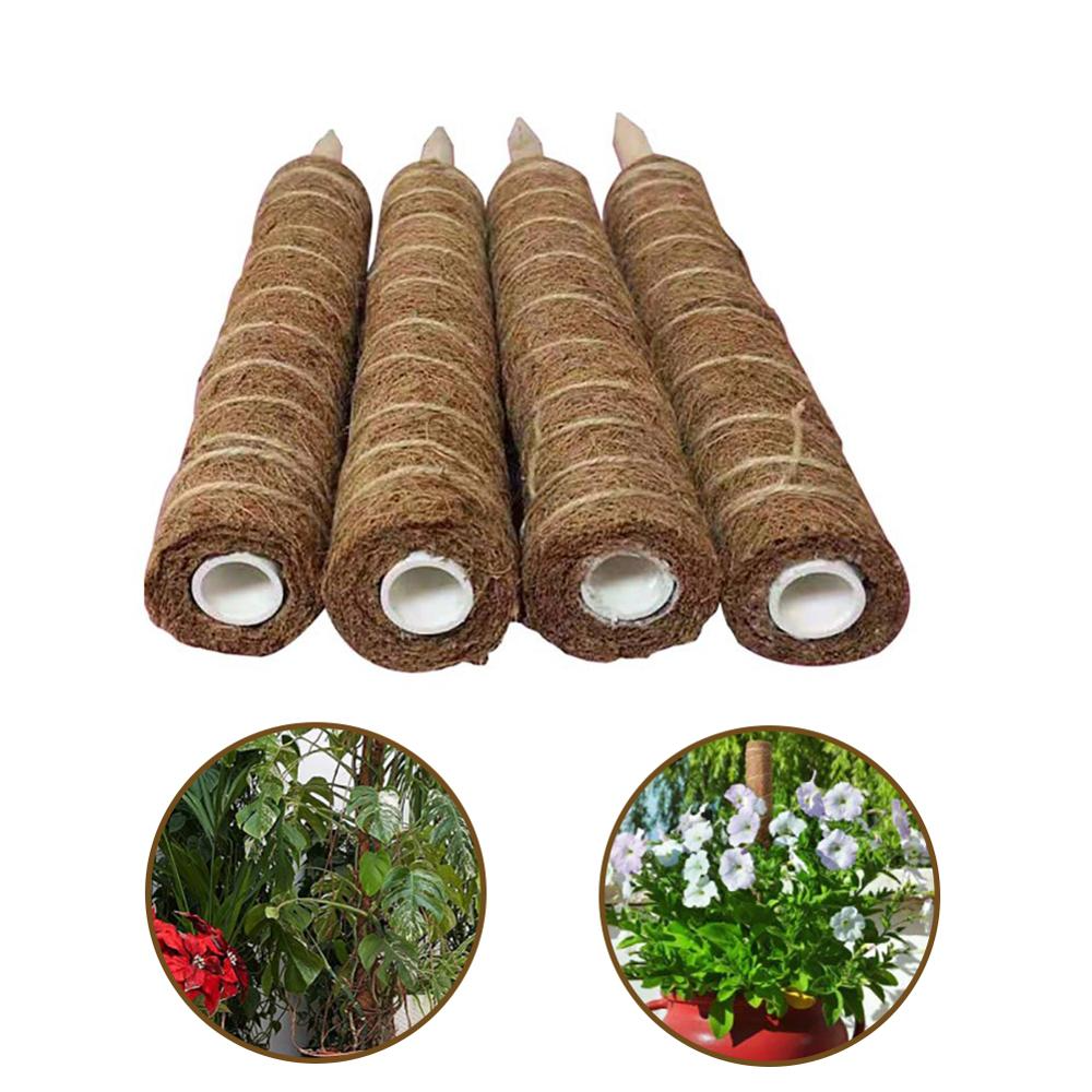 Coconut Moss Support Pole for Climbing Plants – Natural Support for Indoor and Garden Plants