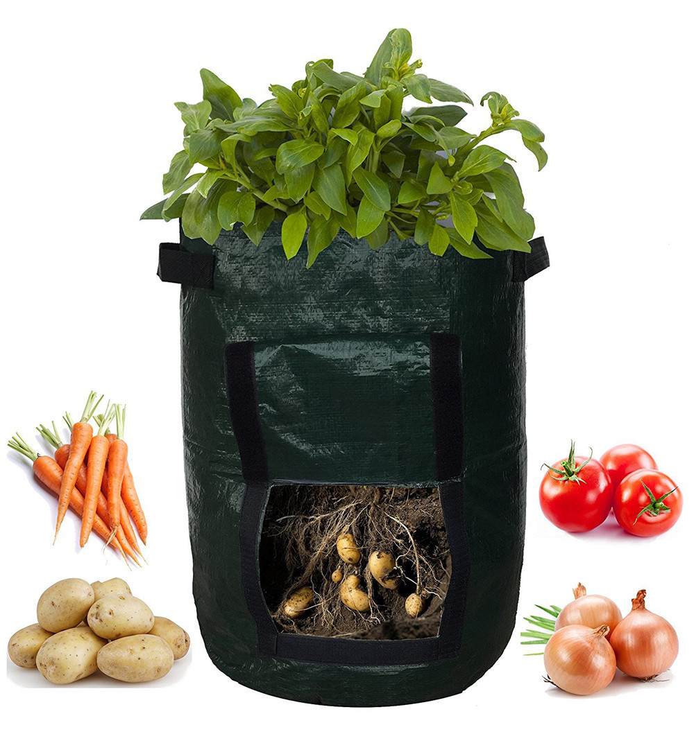 Potato Planting Bag – Reusable with Viewing Window for Easy Harvesting