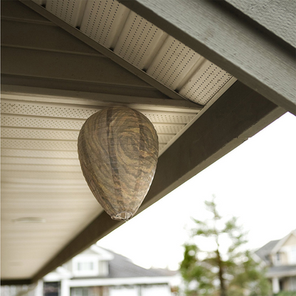 Wasp Nest Deterrent Lamp – Hanging Insect Protection Net Against Wasps and Pests