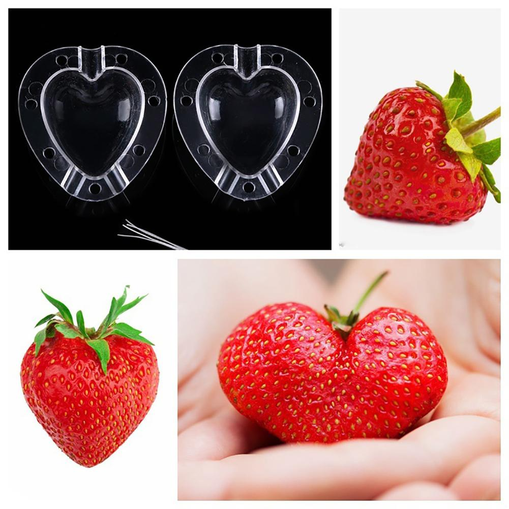 Heart-Shaped Vegetable Mold – Creative Shaping Mold for Fruits and Vegetables in the Garden
