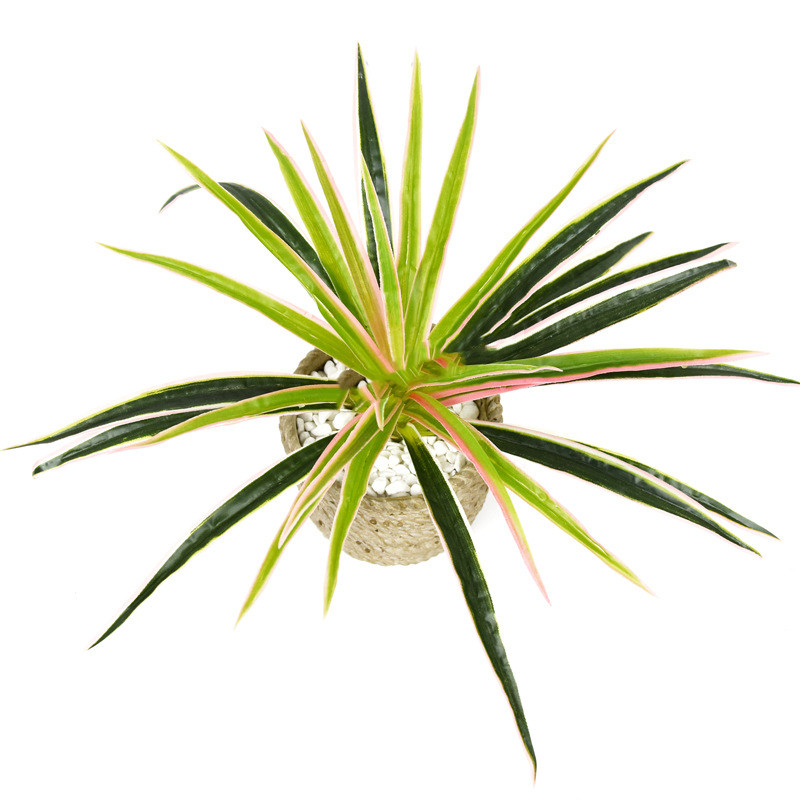 Artificial Grass Plant – Decorative Artificial Plant for Home and Office