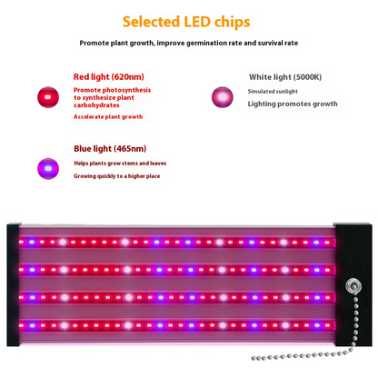 Full-Spectrum LED Plant Grow Light for Optimal Growth – With Pull Switch for Flexibility