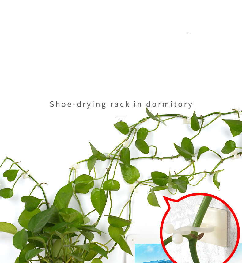 Practical Climbing Plant Wall Clips – Plant Holders for Wall Decoration and Vertical Gardening