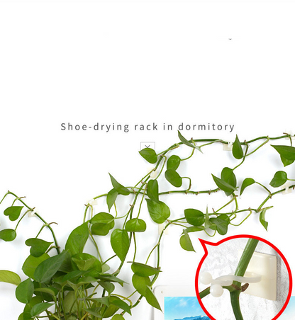 Practical Climbing Plant Wall Clips – Plant Holders for Wall Decoration and Vertical Gardening