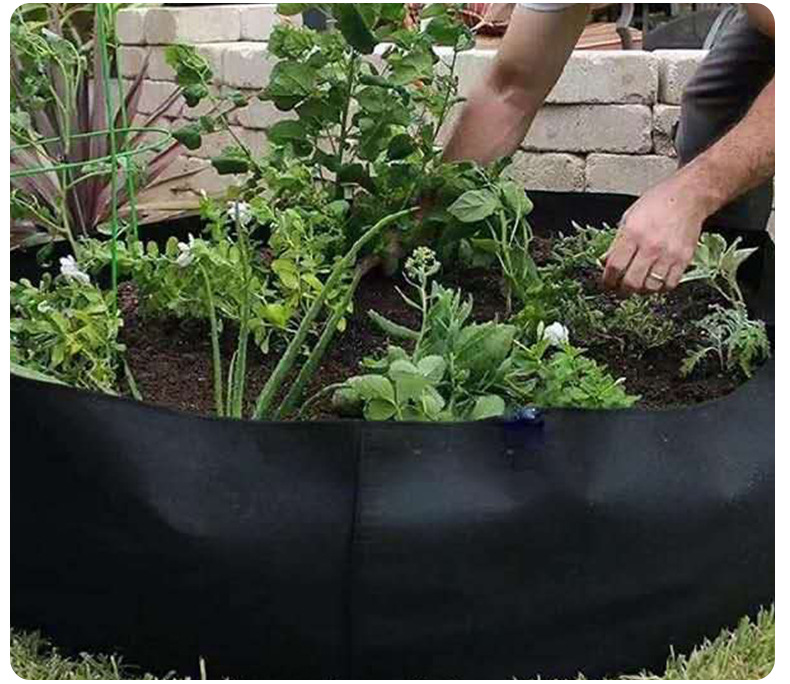 Round Plant Grow Bag – Versatile Garden Container for Easy Plant Growth and Optimal Harvests