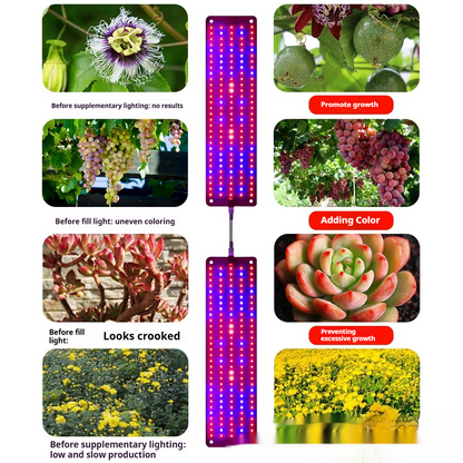 LED Quantum Plant Light Panel for Optimal Growth and Color Intensity – Adjustable Light Mode for Individual Plant Care