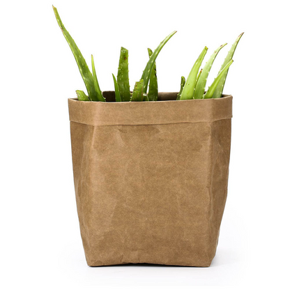 Stylish Paper Plant Pots – Modern Decorative Vases for Plants and Floral Arrangements