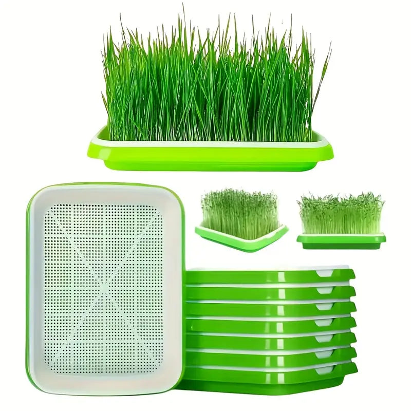 Double-Layer Seed Germination Trays with Lid – Efficient Seed Starting Tray for Optimal Seed Germination