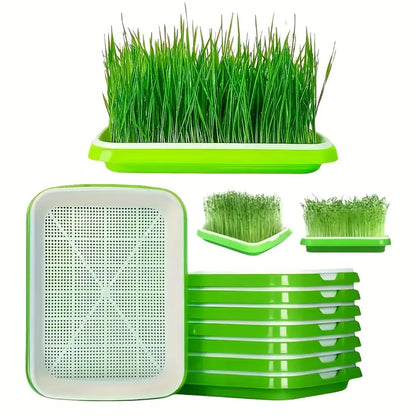 Double-Layer Seed Germination Trays with Lid – Efficient Seed Starting Tray for Optimal Seed Germination