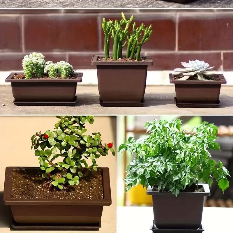 Rectangular Planter with Saucer – Ideal for Garden and Balcony