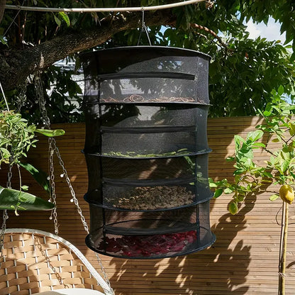 Foldable Drying Rack for Fruits, Vegetables, and Herbs – Multi-Tier Mesh Tray for Fast Drying