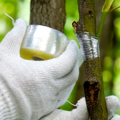 Self-Adhesive Grafting Tape for Plants – Ideal for Pruning and Plant Grafting