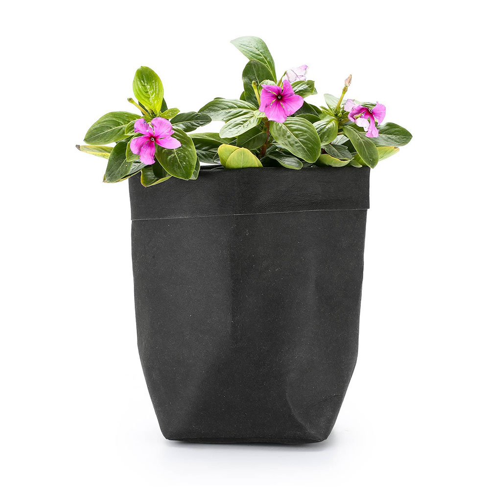 Stylish Paper Plant Pots – Modern Decorative Vases for Plants and Floral Arrangements