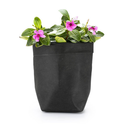 Stylish Paper Plant Pots – Modern Decorative Vases for Plants and Floral Arrangements