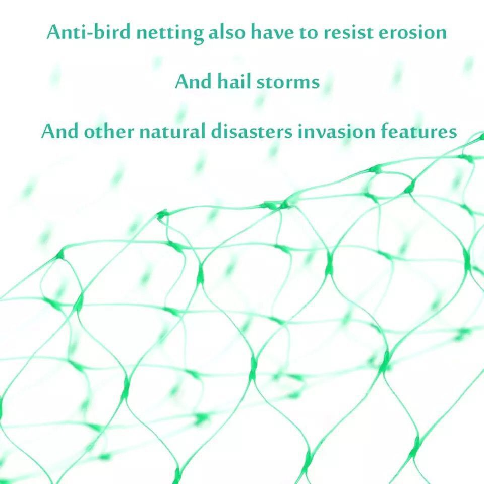 Protective Net for Garden Plants – Green Net for Protection Against Pests and Animals
