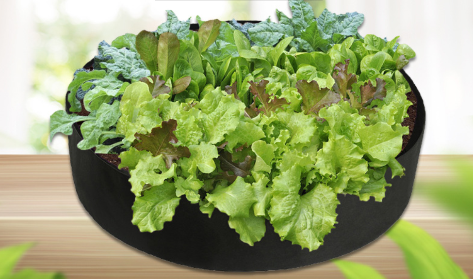 Round Plant Grow Bag – Versatile Garden Container for Easy Plant Growth and Optimal Harvests
