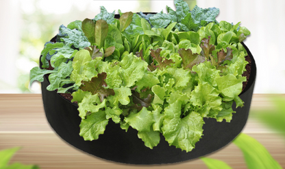 Round Plant Grow Bag – Versatile Garden Container for Easy Plant Growth and Optimal Harvests