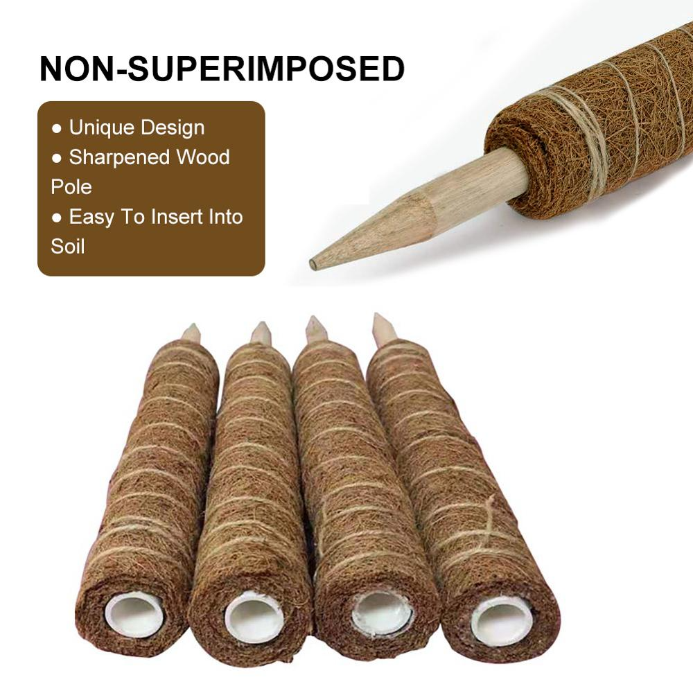 Coconut Moss Support Pole for Climbing Plants – Natural Support for Indoor and Garden Plants