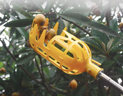 Fruit Picker for Harvesting – Practical Harvesting Tool for Trees and Shrubs
