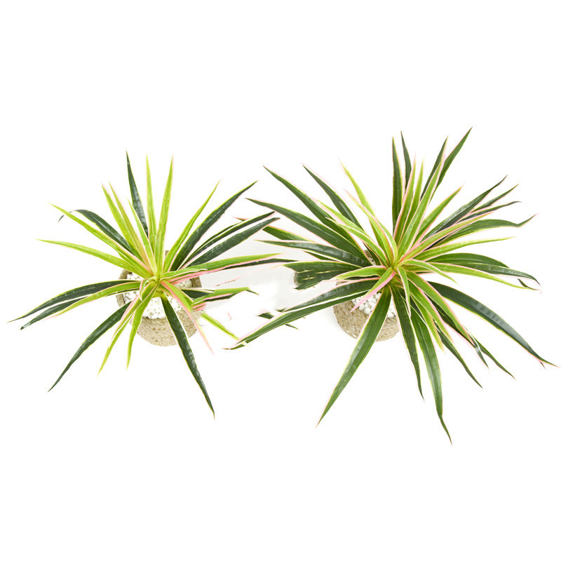 Artificial Grass Plant – Decorative Artificial Plant for Home and Office