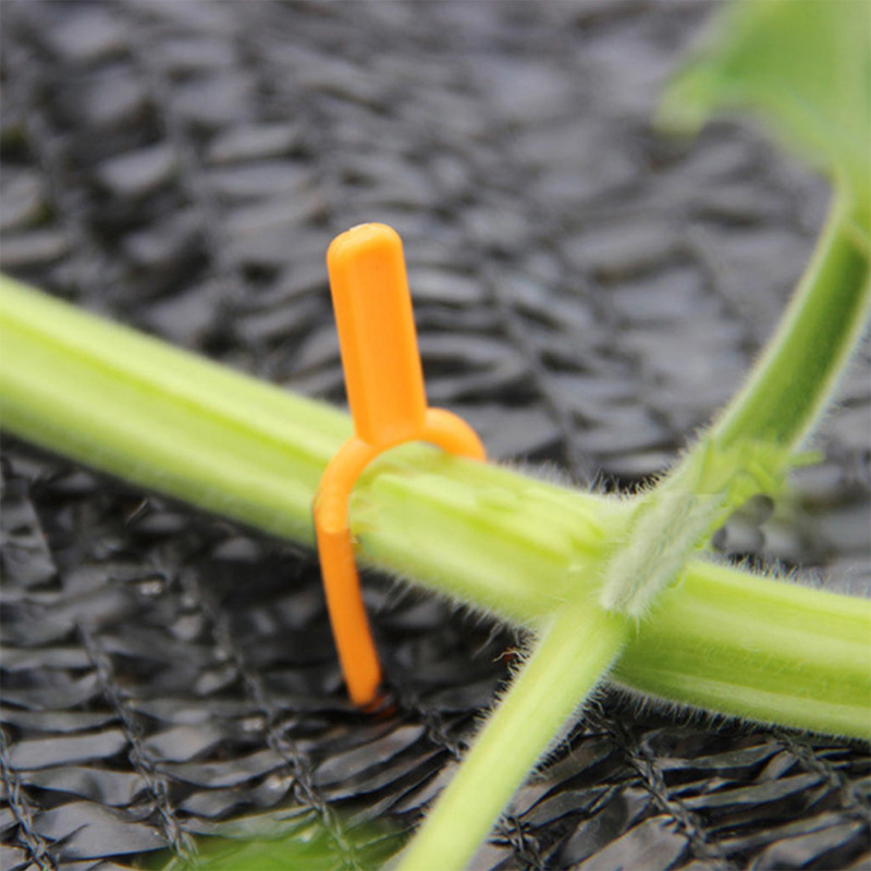 Plastic Support Clips for Garden Plants – Ideal for Optimal Plant Stability