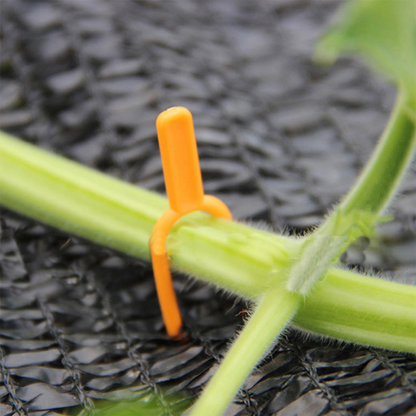 Plastic Support Clips for Garden Plants – Ideal for Optimal Plant Stability