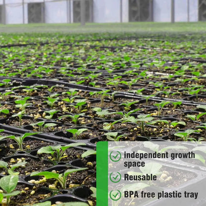 Rectangular Seedling Tray – Plant Tray for Efficient Germination and Growth of Seedlings