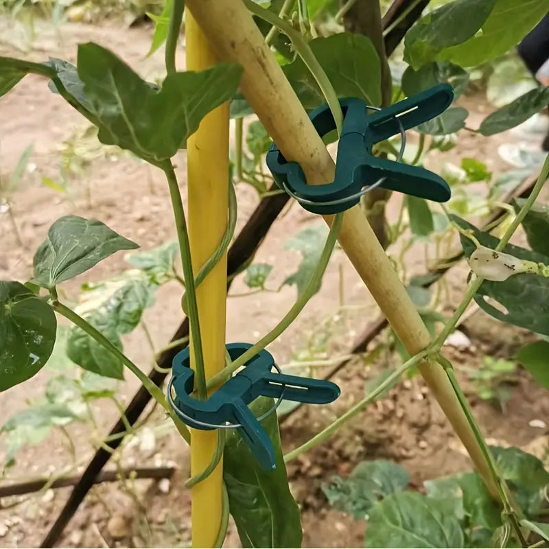 Garden Clip Set – Plant Loops for Supporting Plants and Garden Care