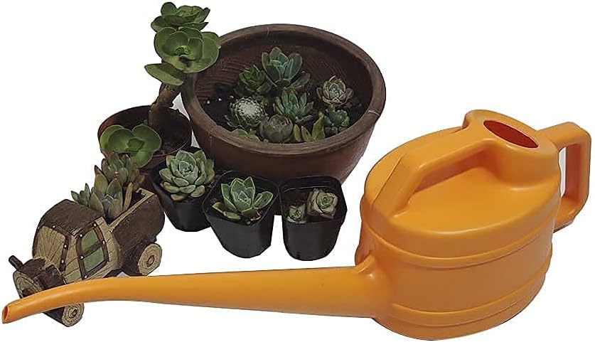 Watering Can with Long Spout – Precise and Easy Watering for Plants