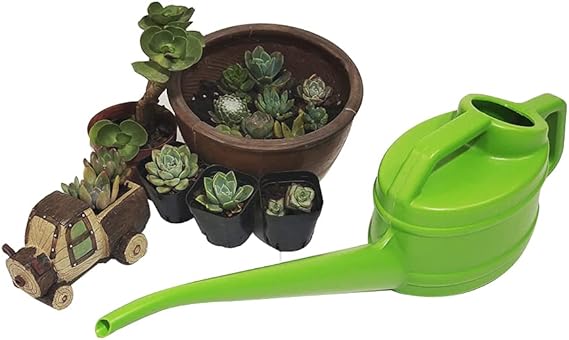 Watering Can with Long Spout – Precise and Easy Watering for Plants
