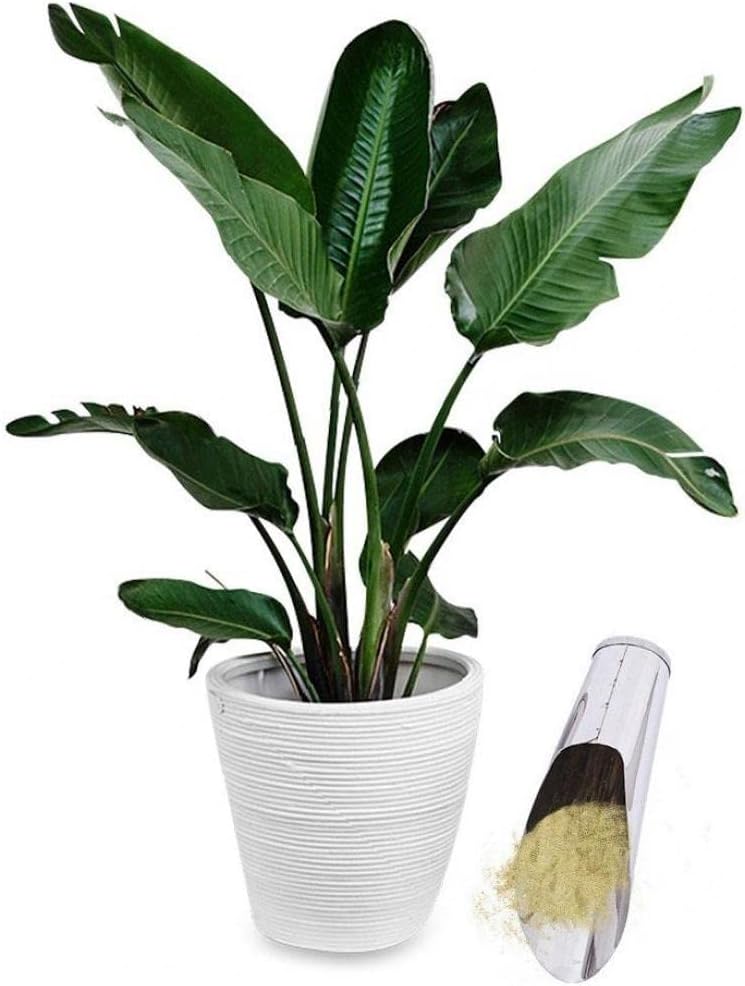 Durable Stainless Steel Garden Trowel – High-Quality Scoop for Potting Soil in the Garden and on the Balcony