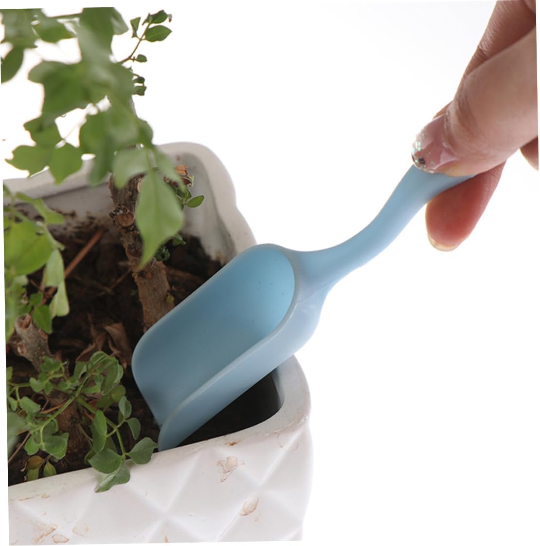 Succulent Plant Tool Set – Practical Combo Kit for Caring and Planting Succulents