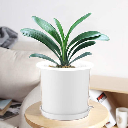 Breathable Root Control Pot for Plants – Perfect Ventilation for Healthy Growth and Optimal Root Development