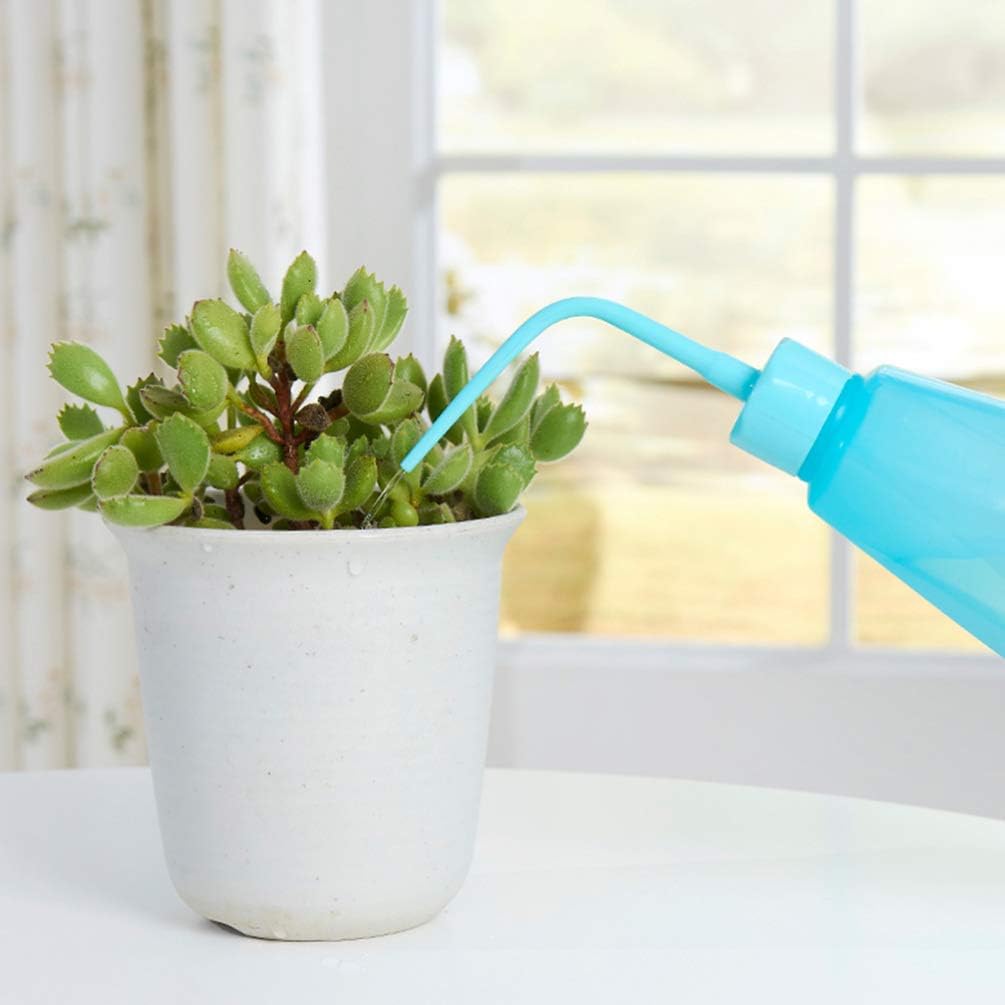 Succulent Garden Tool Set with Spray Bottle and Accessories – Complete Set for Caring for Succulents and Cacti