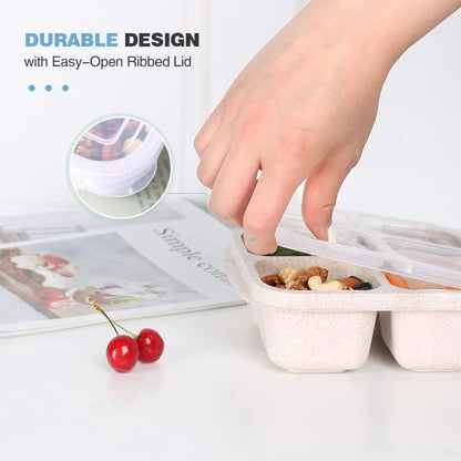 4-Pack Bento Meal Prep Boxes – Sustainable And Practical Storage Containers For Meals And Snacks