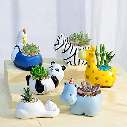 Animal Planters – Fun Animal Designs for Succulents, Cacti, and Small Plants