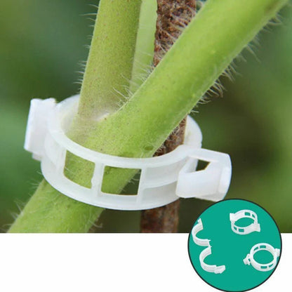 Flexible Plant Support Clip for Climbing Plants – Holder for Stems and Vines