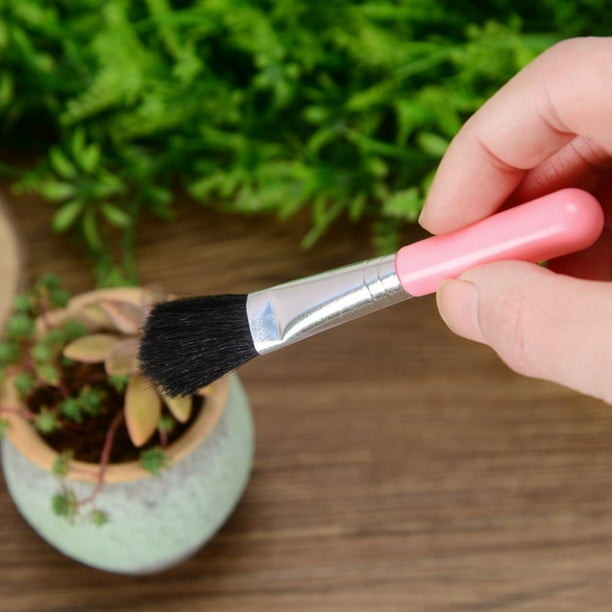 Succulent Plant Tool Set – Practical Combo Kit for Caring and Planting Succulents
