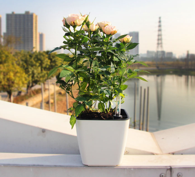 Self-watering Flower Pot – Plant Pot With Watering System For Indoor and Outdoor Use